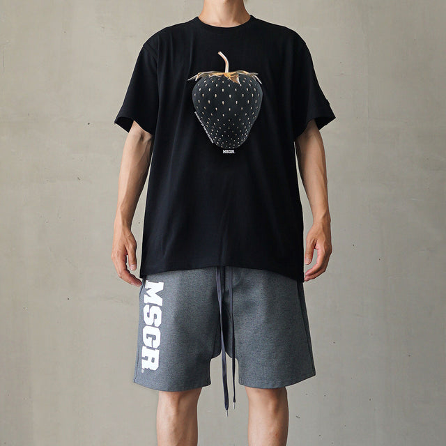 MSGR TEEシャツ / BLACK BERRY TEE