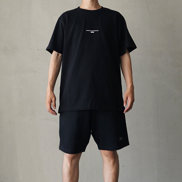MSGR TEEシャツ / BIG MSGR TEE